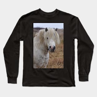 Inquisitive 2 Long Sleeve T-Shirt